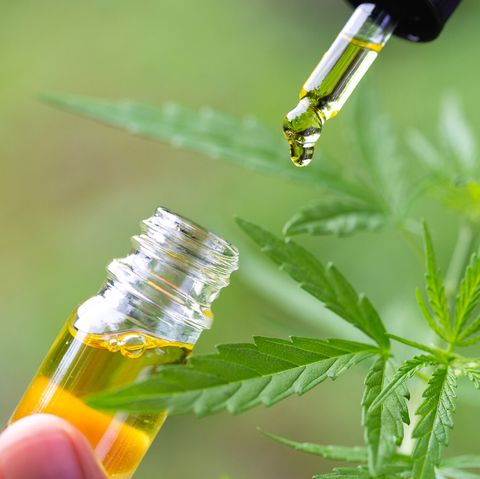 Discover the advantages of getting a quality online store for buy cbd oil online post thumbnail image