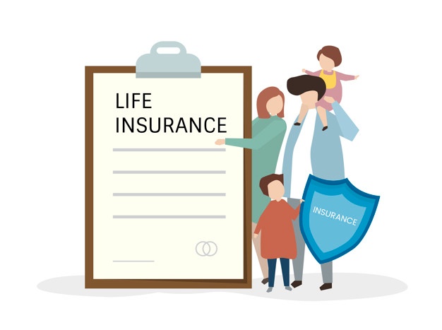 Insurance Scheme And Insurance Policies From Insurance Ranked Website post thumbnail image