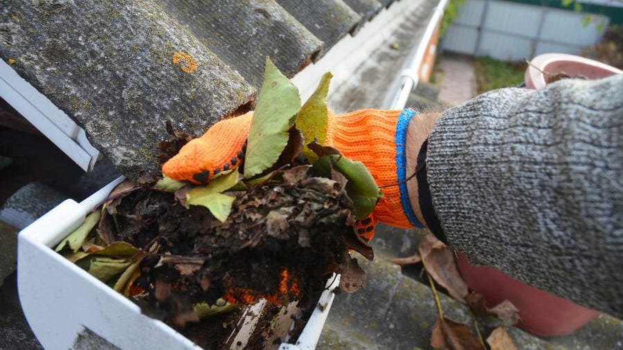 Understanding what you ought to look out for in a gutter cleaning service post thumbnail image