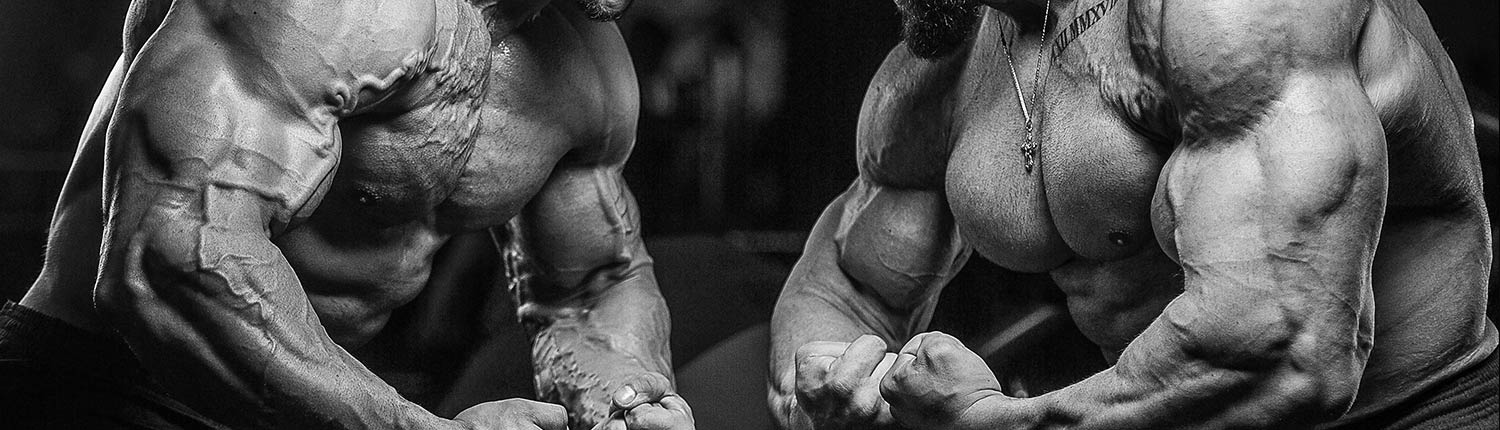 SARMs Supplements: What You Need to Know About Muscle Building post thumbnail image