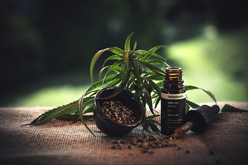 Find out how to buy the best cbd oil for your body post thumbnail image