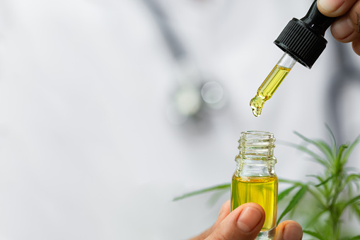Through a website known can buy the best oil  best CBD oil for dogs post thumbnail image