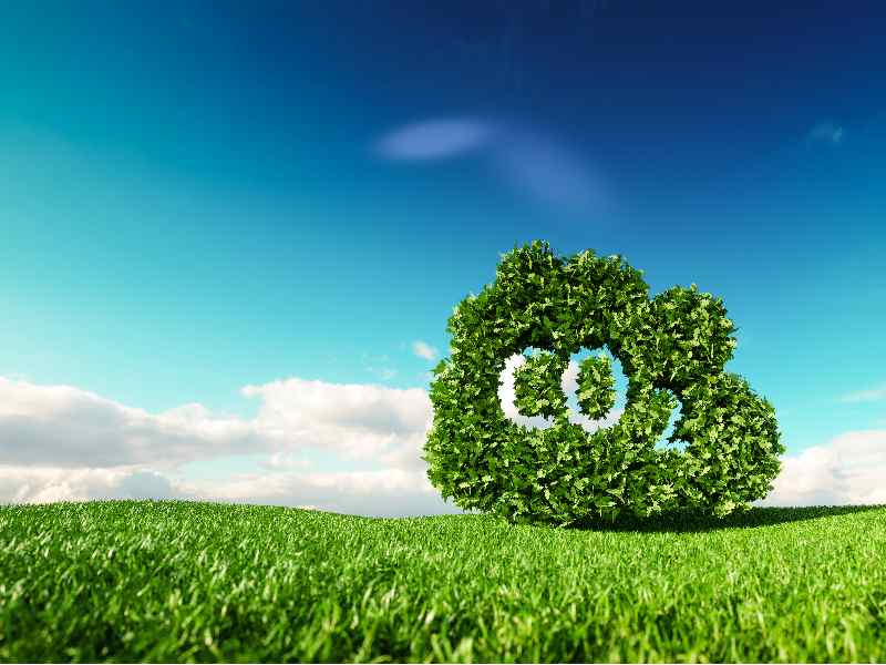 Things To Know About Carbon Offset Australia post thumbnail image