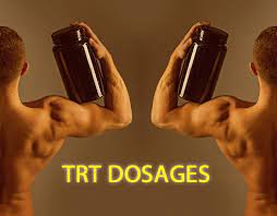 Useful information for increasing testosterone levels post thumbnail image