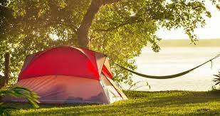 Relax in an Idyllic Paradise with a Campsite Overlooking Florida’s Clear Waters post thumbnail image