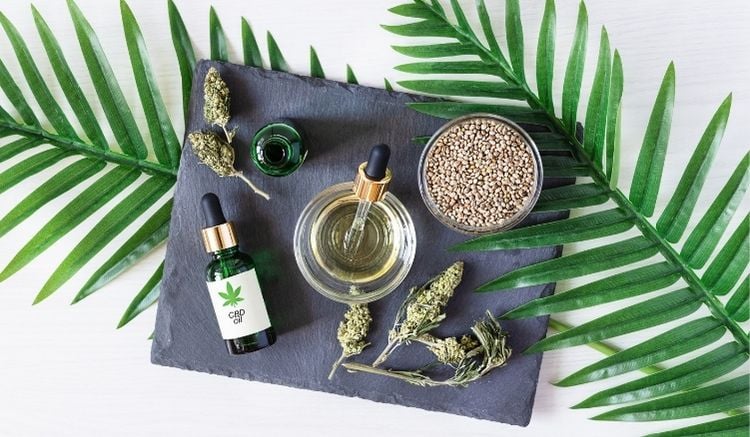 Cbd shop: everything you need to know and the types of products they sell post thumbnail image